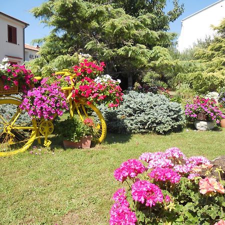 Apartments Mihalic Baška Dış mekan fotoğraf